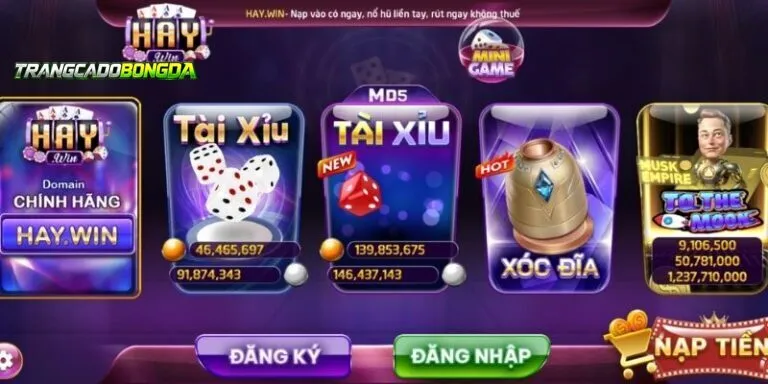 HAYWIN – Địa Điểm Tụ Tỷ Lệ Kèo Hấp Dẫn Nhất Thị Trường